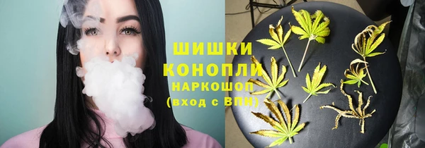 ешки Тавда