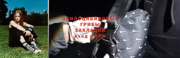 ешки Тавда