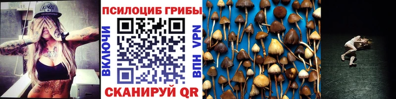 Псилоцибиновые грибы GOLDEN TEACHER  Купить где  Иннополис 